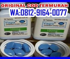 APOTIK VIAGRA SAMARINDA *081291640077 JUAL OBAT KUAT VIAGRA 100MG PFIZER DI SAMARINDA - 2